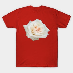 Close Up View Of A Beautiful Peach White Rose Isolated T-Shirt